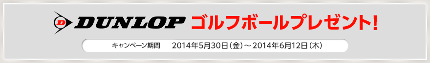 ゴルフボールプレゼント！