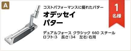 オデッセイ デュアルフォース クラシック パター 660 スチール