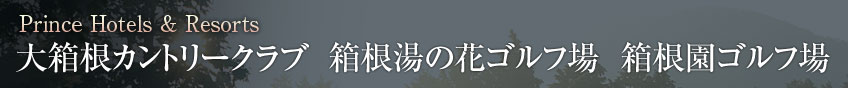Prince Hotels & Resorts ̉ԃSt  唠Jg[Nu  St