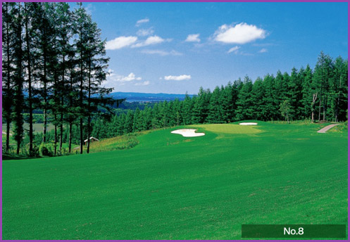 PRINCE GOLF RESORT 】北海道 北海道CC大沼コース／富良野GC／上士幌ゴルフ場／女満別GC