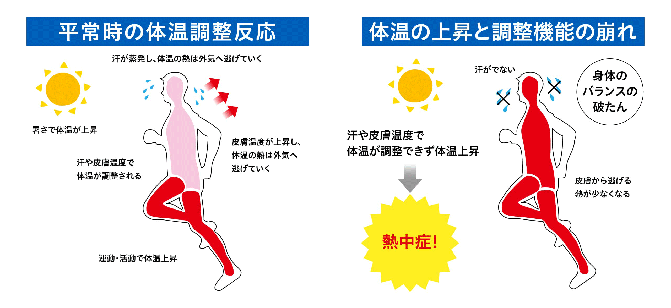 平常時の体温調整反応　体温の上昇と調整機能の崩れ