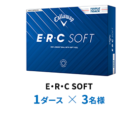 E・R・C SOFT 1ダース × 3名様